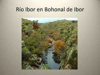 Red hidrográficaTodo el territorio extremeño pertenece en su totalidad a la vertiente atlántica y a cuatro cuencas hidrográficas diferentes:La cuenca del Tajo, con dos afluentes principales por la derecha: el Tiétar y el Alagón, y por la izquierda los ríos Almonte, Ibor, Salor y el Sever. Los afluentes de la margen derecha aportan una mayor cantidad de agua, puesto que se nutren principalmente de las gargantas de Sistema Central donde las precipitaciones son muy abundantes y en invierno se acumula gran cantidad de nieve. La cuenca del Guadiana, que tiene como afluentes principales por la derecha a los ríos Guadarranque y Ruecas y por la izquierda al Zújar que es su afluente más caudaloso y el Matachel. La cuenca del Guadalquivir. La cuenca del Duero. 