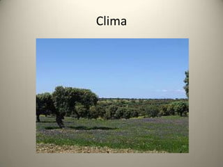 Río Ibor en Bohonal de Ibor