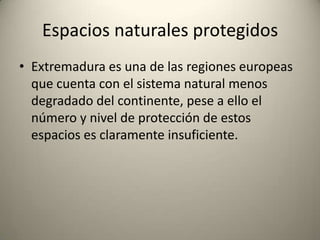 FiestasExtremadura cuenta con unas 40 fiestas de interés turístico durante todo el año. La tramitación y concesión del título de las fiestas se realizan a través de la Consejería de Medio Ambiente, Urbanismo y Turismo. Para la obtención del título de Fiesta de Interés Turístico Regional, una fiesta debe cumplir los siguientes requisitos:Originalidad en la celebración. Valor cultural, gastronómico o ambiental. Una antigüedad mínima de 10 años. Capacidad para atraer visitantes fuera de Extremadura. Celebración de forma periódica. Estas fiestas de interés turístico suelen coincidir, aunque no siempre, con días de fiestas populares en varios lugares de Extremadura, como San Sebastián, San Blas, Carnavales, Semana Santa, agosto o el Día de Todos los Santos. 
