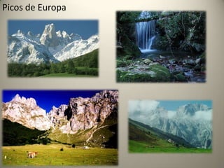 Picos de Europa