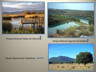 POBLACIÓN  Y  POBLAMIENTOCastilla-La Mancha cuenta con 2,095,855  habitantes repartidos entre sus cinco provincias. El 89,8% tiene la nacionalidad española, el 5,5% comunitaria y el 5,3% restante son de otras nacionalidades.           A pesar de ser la tercera región más extensa de España, detrás de Castilla y León y Andalucía, es una de las menos pobladas situándose en el noveno puesto de entre las demás comunidades autónomas españolas. La población de la región representa el 4,45% de la población nacional.          Con una densidad de población media de 26,19 hab/km2, la región posee la menor densidad de población de toda España, situándose la media estatal en 92,63 hab/km2.           La pirámide de población de Castilla-La Mancha presenta una tipología similar a la de una región desarrollada, con la zona central más ancha que la base y que la zona superior. La población entre los 16 y los 44 años representa alrededor del 43,7%, de 45 a 64 años de edad representan el 22,4%, manteniéndose más alejados los niños con un 16,3% y los mayores de 65 con el 17,6%. Estos datos vienen a demostrar el progresivo envejecimiento de la población castellano-manchega, aunque mitigado en parte por la inmigración.           Respecto a sexos, en la región habitan alrededor de 22.000 hombres más que mujeres, lo que supone un 50,5% frente a un 49,5%. A nivel nacional sucede lo contrario, la población femenina supera a la masculina en porcentajes similares.            La tasa de natalidad por 1.000 habitantes de Castilla-La Mancha se situaba en 2008 (INE, 2008) en 11,05 algo por debajo de la media nacional que se quedaba en el 11,38.            La tasa de mortalidad en 2008 se situaba en 8,94 algo superior a la media española que era de 8,47.            La esperanza de vida al nacer se encuentra entre las más altas de España superando la media nacional. Según los datos del INE referidos a 2007, para las mujeres es de 84,08 años y para los hombres de 78,72.            Crecimiento natural: 0,03%