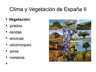 Clima y Vegetación de España II Vegetación: -prados -landas -encinas -alcornoques -jaras -romeros 