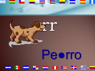 rr
Pe●rro
111

 