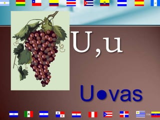 U,u
U●vas
114

 