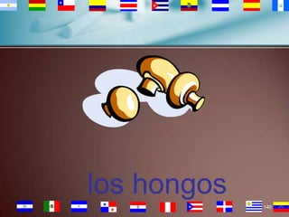 los hongos
140

 
