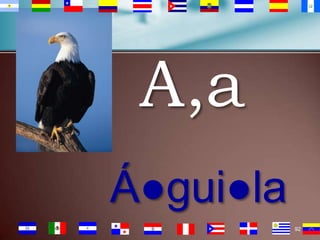 A,a
Á●gui●la
92

 