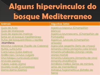 Animais Algunhas Setas
Guía de Aves
Guía de Mariposas
Guía de especies marinas
Setas en el bosque mediterráneo
Trufas del bosqueAnfibios y reptiles
-Mamiferos
Microtus cabrerae (Topillo de Cabrera)
Nutria, Lutra lutra
Canis lupus (Lobo ibérico)
Ardilla roja / Sciurus vulgaris
Oryctolagus cuniculus(Conejo)
Arvicola sapidus
Vulpes vulpes (Zorro)
Mustela nivalis (Comadreja)
Dama dama (Gamo)
Agaricus bisporus (Champiñón
blanco)
Agaricus brunnescens, (Champiñón de
Portobello)
Agaricus sylvicola (Champiñón
anisado)
Agrocybe aegerita (Seta de chopo)
Amanita citrina (Amanita color limón)
Amanita phalloides (Oronja verde,
oronja mortal)
Amanita rubescens (Amanita de vino)
Amanita strobiliformis
Armillaria mellea (Setas de mimbre,
setas de membrillero)
Astraeus hygrometricus (Estrella de
tierra)
 