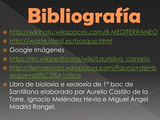  http://wikinatu.wikispaces.com/B.MEDITERRANEO
 http://waste.ideal.es/bosque.html
 Google Imágenes
 https://es.wikipedia.org/wiki/Laurisilva_canaria
 http://tierraesvida.wikispaces.com/Fauna+del+b
osque+atl%C3%A1ntico
 Libro de bioloxía e xeoloxía de 1º bac de
Santillana elaborado por Aurelio Castillo de la
Torre, Ignacio Meléndez Hevia e Miguel Ángel
Madrid Rangel.
 