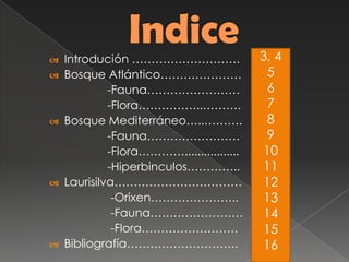  Introdución ……………………….
 Bosque Atlántico…………………
-Fauna……………………
-Flora……………..……….
 Bosque Mediterráneo…..……….
-Fauna……………………
-Flora………….................
-Hiperbinculos…………..
 Laurisilva……………………………
-Orixen…………………..
-Fauna……………………
-Flora…………………….
 Bibliografía………………………..
3, 4
5
6
7
8
9
10
11
12
13
14
15
16
 