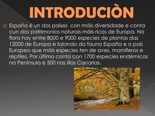  España é un dos países con máis diversidade e conta
cun dos patrimonios naturais máis ricos de Europa. Na
flora hay entre 8000 e 9000 especies de plantas das
12000 de Europa e falando da fauna España e o país
Europeo que máis especies ten de aves, mamíferos e
réptiles. Por último conta con 1700 especies endémicas
na Península e 500 nas illas Canarias.
 
