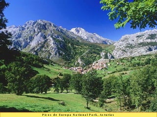 Picos de Europa National Park, Asturias 