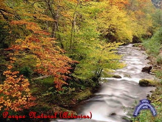 Parque Natural (Asturias)