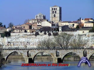 ZAMORA(Junto al Rio Duero )
