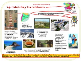 14. Cataluña y los catalanes Durante las fiestas populares nunca faltan los “ castells ” (castillos), torres humanas que surgieron a finales del S. XVIII.  Vi la fuente del Lagarto en el  Parque Güell  (Barcelona) de  Gaudí , creador de la  Sagrada Familia  (derecha). En Barcelona también nació el pintor  surrealista  Joan Miró. Me bañé en la  Costa Brava . ¿Sabías que el 23 de Abril, día de  Sant Jordi , patrón de Cataluña y de los enamorados, y coincidiendo con el día del Libro, los chicos regalan una rosa a las chicas y ellas un libro a los chicos?  Fui al Pirineo Catalán, a   Aigüestortes . Vi el monumento a la  sardana , baile que simboliza la unión y la hermandad. Comí el tradicional “ pa amb tomàquet ”  (pan con tomate) y bebí el  cava  catalán. En Cataluña tienen dos lenguas oficiales, el castellano y el catalán LA ESPAÑA DE LAS AUTONOMÍAS 