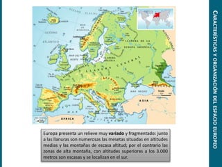 CARACTERÍSTICASYORGANIZACIÓNDELESPACIOEUROPEO
Europa presenta un relieve muy variado y fragmentado: junto
a las llanuras son numerosas las mesetas situadas en altitudes
medias y las montañas de escasa altitud; por el contrario las
zonas de alta montaña, con altitudes superiores a los 3.000
metros son escasas y se localizan en el sur.
 