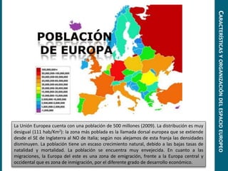 La Unión Europea cuenta con una población de 500 millones (2009). La distribución es muy
desigual (111 hab/Km2): la zona más poblada es la llamada dorsal europea que se extiende
desde el SE de Inglaterra al NO de Italia; según nos alejamos de esta franja las densidades
disminuyen. La población tiene un escaso crecimiento natural, debido a las bajas tasas de
natalidad y mortalidad. La población se encuentra muy envejecida. En cuanto a las
migraciones, la Europa del este es una zona de emigración, frente a la Europa central y
occidental que es zona de inmigración, por el diferente grado de desarrollo económico.
CARACTERÍSTICASYORGANIZACIÓNDELESPACIOEUROPEO
 