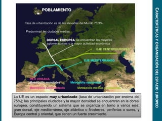 La UE es un espacio muy urbanizado (tasa de urbanización por encima del
75%); las principales ciudades y la mayor densidad se encuentran en la dorsal
europea, constituyendo un sistema que se organiza en torno a varios ejes:
gran dorsal, eje mediterráneo, eje atlántico o finisterres, periferias o sures, y
Europa central y oriental, que tienen un fuerte crecimiento.
CARACTERÍSTICASYORGANIZACIÓNDELESPACIOEUROPEO
 