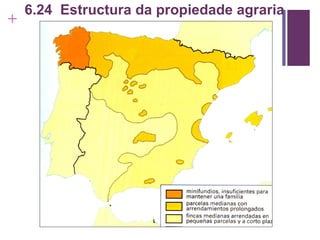 6.24  Estructura da propiedade agraria 