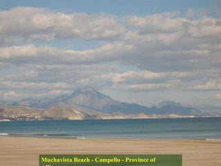 Muchavista Beach - Campello - Province of Allicante 