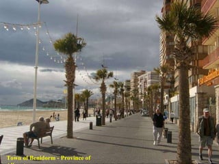 Town of Benidorm - Province of Alicante 