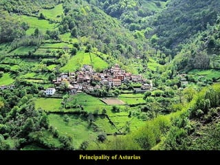 Principality of Asturias 
