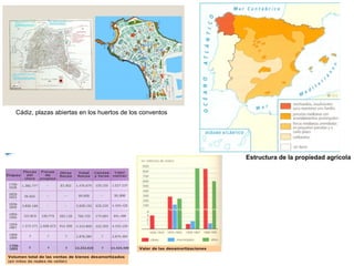 Cádiz, plazas abiertas en los huertos de los conventos

Estructura de la propiedad agrícola

 