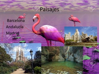 Paisajes
Barcelona
Andalucia
Madrid
 