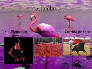 Costumbres
• Flamenco Tomatina Corrida de toro
 