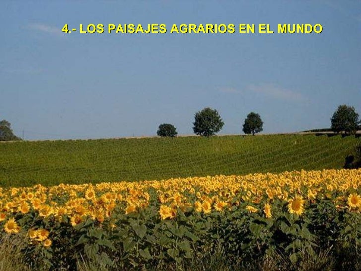 LOS ESPACIOS RURALES ESPA. BLOQUE 7.