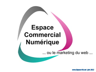 Espace
Commercial
Numérique
    ... ou le marketing du web ...



                     www.Espace-RA.net juin 2012
 