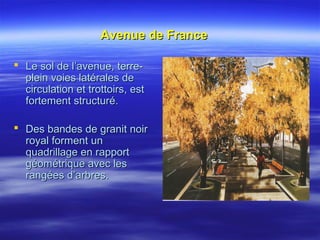 Avenue de FranceAvenue de France
 Le sol de l’avenue, terre-Le sol de l’avenue, terre-
plein voies latérales deplein voies latérales de
circulation et trottoirs, estcirculation et trottoirs, est
fortement structuré.fortement structuré.
 Des bandes de granit noirDes bandes de granit noir
royal forment unroyal forment un
quadrillage en rapportquadrillage en rapport
géométrique avec lesgéométrique avec les
rangées d’arbres.rangées d’arbres.
 