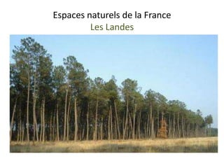 Espaces naturels de la France
         Les Landes
 