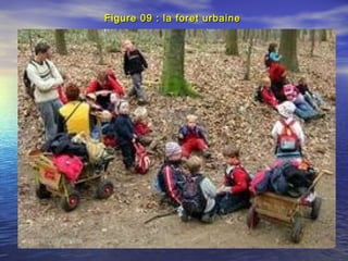 Figure 09 : la foret urbaineFigure 09 : la foret urbaine
 