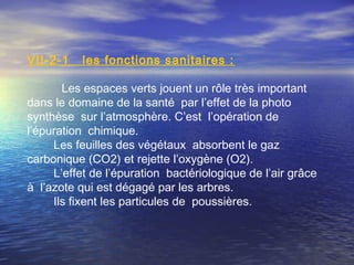 VΙI-2-1 les fonctions sanitaires :
Les espaces verts jouent un rôle très important
dans le domaine de la santé par l’effet de la photo
synthèse sur l’atmosphère. C’est l’opération de
l’épuration chimique.
Les feuilles des végétaux absorbent le gaz
carbonique (CO2) et rejette l’oxygène (O2).
L’effet de l’épuration bactériologique de l’air grâce
à l’azote qui est dégagé par les arbres.
Ils fixent les particules de poussières.
 