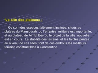 •Le site des plateaux :
Ce sont des espaces faiblement inclinés, situés au
plateau du Mansourah ou l’emprise militaire est importante,
et au plateau de Ain El Bey ou le projet de la ville nouvelle
est en cours. La stabilité des terrains, et les faibles pentes
au niveau de ces sites, font de ces endroits les meilleurs
terrains constructibles à Constantine.
 