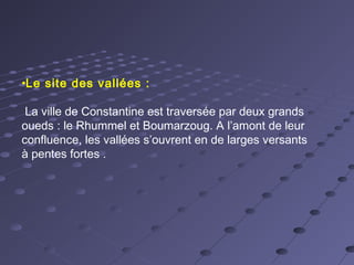 •Le site des vallées :
La ville de Constantine est traversée par deux grands
oueds : le Rhummel et Boumarzoug. A l’amont de leur
confluence, les vallées s’ouvrent en de larges versants
à pentes fortes .
 