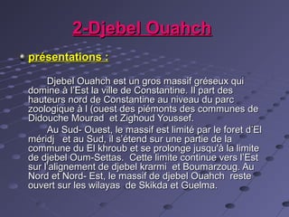 2-Djebel Ouahch2-Djebel Ouahch
présentations :présentations :
Djebel Ouahch est un gros massif gréseux quiDjebel Ouahch est un gros massif gréseux qui
domine à l’Est la ville de Constantine. Il part desdomine à l’Est la ville de Constantine. Il part des
hauteurs nord de Constantine au niveau du parchauteurs nord de Constantine au niveau du parc
zoologique à l (ouest des piémonts des communes dezoologique à l (ouest des piémonts des communes de
Didouche Mourad et Zighoud Youssef.Didouche Mourad et Zighoud Youssef.
Au Sud- Ouest, le massif est limité par le foret d’ElAu Sud- Ouest, le massif est limité par le foret d’El
méridj et au Sud, il s’étend sur une partie de laméridj et au Sud, il s’étend sur une partie de la
commune du El khroub et se prolonge jusqu'à la limitecommune du El khroub et se prolonge jusqu'à la limite
de djebel Oum-Settas. Cette limite continue vers l’Estde djebel Oum-Settas. Cette limite continue vers l’Est
sur l’alignement de djebel krarmi et Boumarzoug. Ausur l’alignement de djebel krarmi et Boumarzoug. Au
Nord et Nord- Est, le massif de djebel Ouahch resteNord et Nord- Est, le massif de djebel Ouahch reste
ouvert sur les wilayas de Skikda et Guelma.ouvert sur les wilayas de Skikda et Guelma.
 