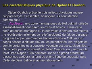 Les caractéristiques physique de Djebel El Ouahch:Les caractéristiques physique de Djebel El Ouahch:
Djebel Ouahch présente trois milieux physiques malgréDjebel Ouahch présente trois milieux physiques malgré
l’apparence d’un ensemble homogène, ils sont identifiél’apparence d’un ensemble homogène, ils sont identifié
comme suit :comme suit :
Au NordAu Nord : : une zone montagneuse de Kef Lekhal utiliséeune zone montagneuse de Kef Lekhal utilisée
essentiellement pour parcours ovins et bovins. Dans cetteessentiellement pour parcours ovins et bovins. Dans cette
zone de basse montagne ou la dénivelée d’environ 500 mètreszone de basse montagne ou la dénivelée d’environ 500 mètres
ne représente nullement un relief accidenté du fait du passagene représente nullement un relief accidenté du fait du passage
progressif et peu marqué des hautes d’environ 1200 m auxprogressif et peu marqué des hautes d’environ 1200 m aux
zones basses d’altitude 682 m, les potentialités bio- végétaleszones basses d’altitude 682 m, les potentialités bio- végétales
sont importantes et la couverte végétale est assez diversifiée.sont importantes et la couverte végétale est assez diversifiée.
Dans cette partie du massif de djebel Ouahch on y retrouve laDans cette partie du massif de djebel Ouahch on y retrouve la
foret Draa Nagah 1686 hectares (sorte de grand arboretumforet Draa Nagah 1686 hectares (sorte de grand arboretum
d’essences variées), la foret de chêne liège de soudrata puisd’essences variées), la foret de chêne liège de soudrata puis
c’elle de Beni Seline et autres reboisement.c’elle de Beni Seline et autres reboisement.
 