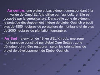 Au centre: une pleine et bas piémont correspondant à la
vallée de Oued EL Aria utilisé par l’agriculture. Elle est
occupée par la céréaliculture. Dans cette zone de piémont,
le projet de développement intégré de djebel Ouahch prévoit
plus de 1500 hectares de polyculture de montagne et de plus
de 2000 hectares de plantation fourragère.
Au Sud : a environ de 18 km d’EL Khroub, une zone
montagneuse constitué par djebel Oum Settas : zone
dénudée qui va être restaurer selon les orientations du
projet de développement de Djebel Ouahch.
 