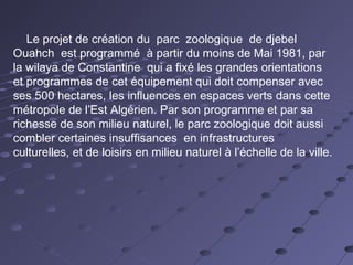 Le projet de création du parc zoologique de djebel
Ouahch est programmé à partir du moins de Mai 1981, par
la wilaya de Constantine qui a fixé les grandes orientations
et programmes de cet équipement qui doit compenser avec
ses 500 hectares, les influences en espaces verts dans cette
métropole de l’Est Algérien. Par son programme et par sa
richesse de son milieu naturel, le parc zoologique doit aussi
combler certaines insuffisances en infrastructures
culturelles, et de loisirs en milieu naturel à l’échelle de la ville.
 