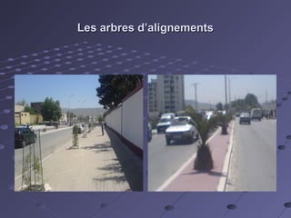 Les arbres d’alignementsLes arbres d’alignements
 