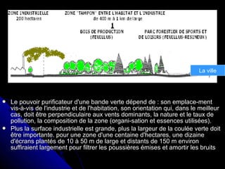  Le pouvoir purificateur d'une bande verte dépend de : son emplace-mentLe pouvoir purificateur d'une bande verte dépend de : son emplace-ment
vis-à-vis de l'industrie et de l'habitation, son orientation qui, dans le meilleurvis-à-vis de l'industrie et de l'habitation, son orientation qui, dans le meilleur
cas, doit être perpendiculaire aux vents dominants, la nature et le taux decas, doit être perpendiculaire aux vents dominants, la nature et le taux de
pollution, la composition de la zone (organi-sation et essences utilisées).pollution, la composition de la zone (organi-sation et essences utilisées).
 Plus la surface industrielle est grande, plus la largeur de la coulée verte doitPlus la surface industrielle est grande, plus la largeur de la coulée verte doit
être importante. pour une zone d'une centaine d'hectares, une dizaineêtre importante. pour une zone d'une centaine d'hectares, une dizaine
d'écrans plantés de 10 à 50 m de large et distants de 150 m environd'écrans plantés de 10 à 50 m de large et distants de 150 m environ
suffiraient largement pour filtrer les poussières émises et amortir les bruitssuffiraient largement pour filtrer les poussières émises et amortir les bruits
La ville
 
