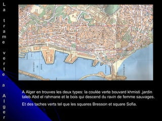 A Alger en trouves les deux types: la coulée verte bouvard khmisti ,jardin
taleb Abd el rahmane et le bois qui descend du ravin de femme sauvages.
Et des taches verts tel que les squares Bresson et square Sofia.
LL
aa
tt
rr
aa
mm
ee
vv
ee
rr
tt
ee
aa
AA
ll
gg
ee
rr
 