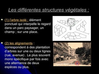Les différentes structures végétales :Les différentes structures végétales :
 (1) l’arbre isolé :(1) l’arbre isolé : élémentélément
ponctuel qui interpelle le regardponctuel qui interpelle le regard
dans un parc paysager, undans un parc paysager, un
champ ; sur une place.champ ; sur une place.
 (2) les alignements(2) les alignements ::
correspondent à des plantationcorrespondent à des plantation
d’arbres sur une ou deux lignesd’arbres sur une ou deux lignes
(rue, avenue) . Le plus souvent(rue, avenue) . Le plus souvent
mono spécifique par fois avecmono spécifique par fois avec
une alternance de deuxune alternance de deux
espèces ou plus.espèces ou plus.
 