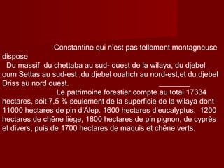 Constantine qui n’est pas tellement montagneuse
dispose
Du massif du chettaba au sud- ouest de la wilaya, du djebel
oum Settas au sud-est ,du djebel ouahch au nord-est,et du djebel
Driss au nord ouest.
Le patrimoine forestier compte au total 17334
hectares, soit 7,5 % seulement de la superficie de la wilaya dont
11000 hectares de pin d’Alep. 1600 hectares d’eucalyptus.  1200
hectares de chêne liège, 1800 hectares de pin pignon, de cyprès
et divers, puis de 1700 hectares de maquis et chêne verts.
 
