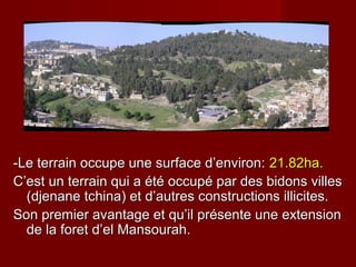 -Le terrain occupe une surface d’environ:-Le terrain occupe une surface d’environ: 21.82ha.21.82ha.
C’est un terrain qui a été occupé par des bidons villesC’est un terrain qui a été occupé par des bidons villes
(djenane tchina) et d’autres constructions illicites.(djenane tchina) et d’autres constructions illicites.
Son premier avantage et qu’il présente une extensionSon premier avantage et qu’il présente une extension
de la foret d’el Mansourah.de la foret d’el Mansourah.
 