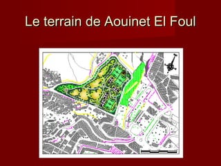 Le terrain de Aouinet El FoulLe terrain de Aouinet El Foul
 