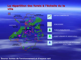 La répartition des forets à l’échelle du laLa répartition des forets à l’échelle du la
villeville
Commune
ouled Rahmoun
Commune
Béni Hmidene
commune
Commune
Ibn ziad
COMMUNE
OUED SEGUEN
COMMUNE
BENBADISS
COMMUNE
ZIGHOUD YOUSSEF
ELKHROUB
AIN SMARA
DIDOUCHE
MOURAD
HAMMA BOUZIANE
CONSTANTINE
EL MERIDJ
SITE DJEBEL
OUAHCH
LIMITES COMMUNALES
ZONE BOISEE
FORETS PERIURBAINES
FORET URBAINE (EL MANSOURAH)
FORET PERIURBAINE NON ACCESSIBLE
(CHATTABA)
Source: bureau de l’environnement et d’espace vert
 