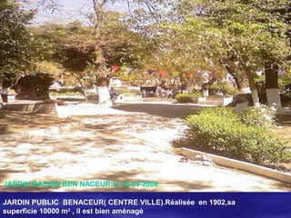 JARDIN PUBLIC BENACEUR( CENTRE VILLE).Réalisée en 1902,sa
superficie 10000 m2
, il est bien aménagé
JARDIN BACHIR BEN NACEUR:le 10-04-2008
 