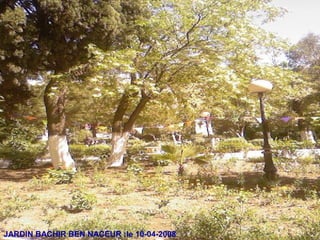 JARDIN BACHIR BEN NACEUR :le 10-04-2008
 